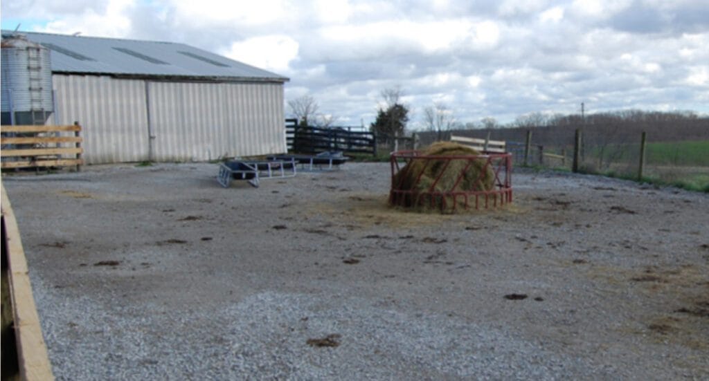 after geosynthetics for equestrian surfaces